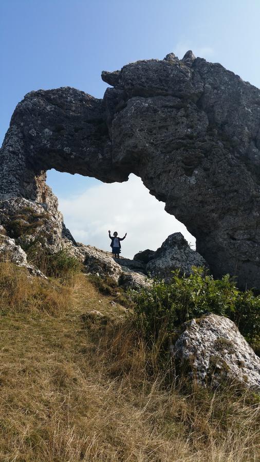 Le Relais Des Ecrins Hotell Saint-Christophe-en-Oisans Exteriör bild