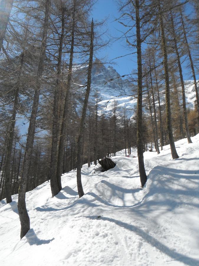 Le Relais Des Ecrins Hotell Saint-Christophe-en-Oisans Exteriör bild